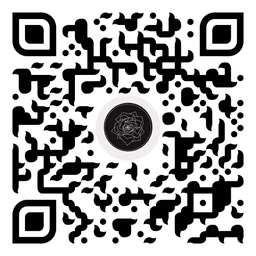 Instagram QR code